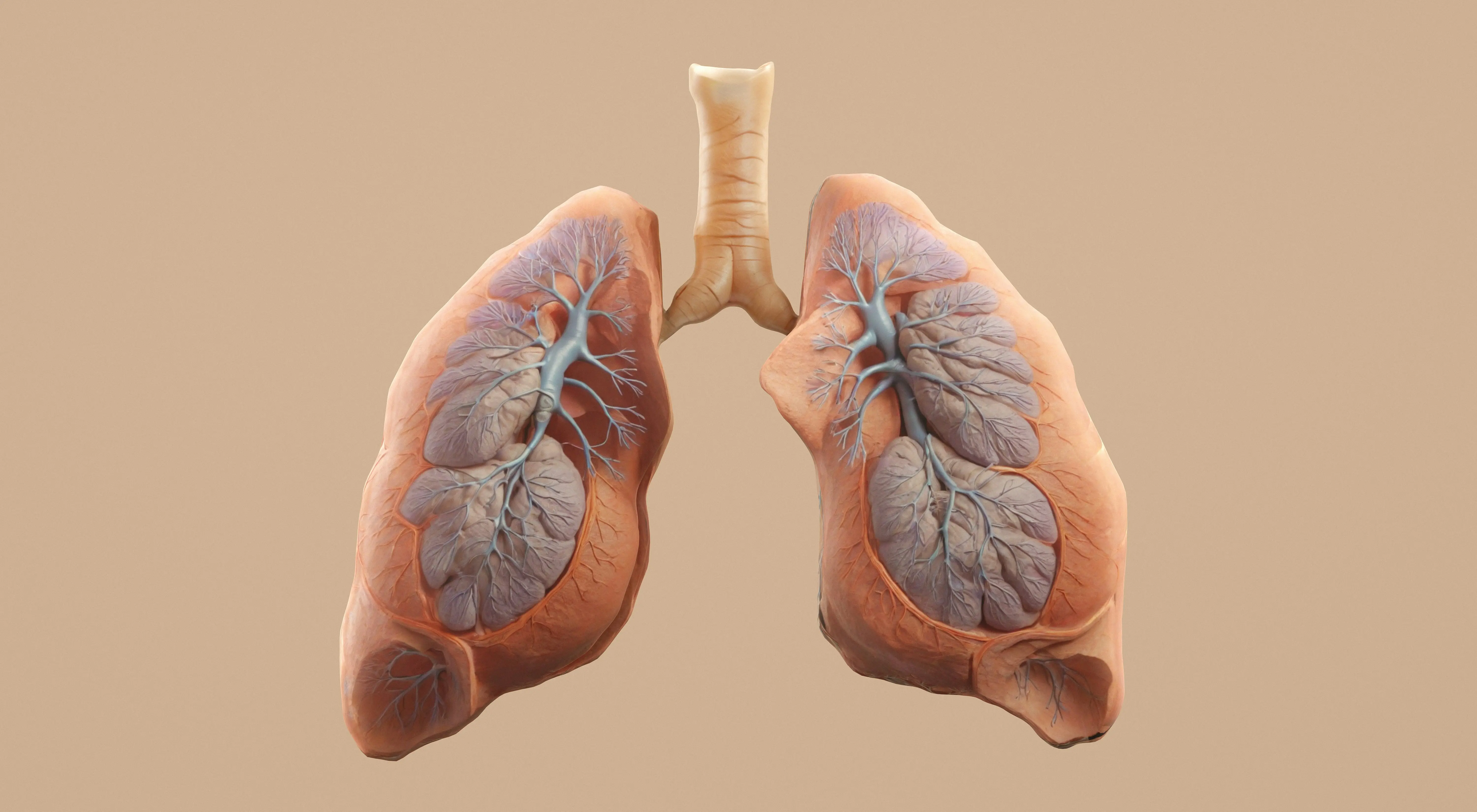 Interstitial Lung Disease (ILD): Symptoms, Diagnosis & What You Need to Know
